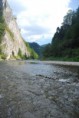 /album/fotogaleria-fotogaleria/dsc-0113-jpg/